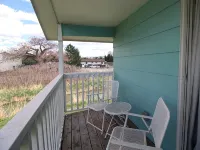 Caddy Shack 2- Charming 3-bedroom totally remodeled with AC and WiFi in Montrose - 3 stjerner