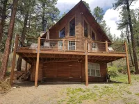 Altitude Adjustment cabin near Wolf Creek - pet friendly - シャレー