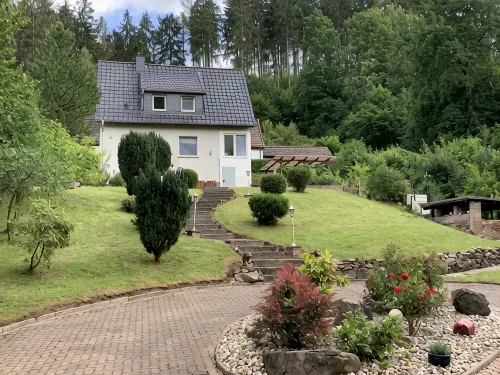 Forest view in the Lerbachtal / Harz - Homestays