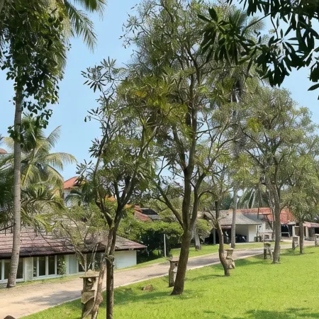 Bukit Arumdalu