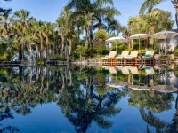 Amathus Beach Hotel Limassol - Beach