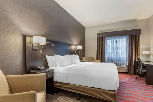 Comfort Suites Boise West Meridian - 朝食