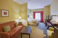 La Quinta Inn & Suites by Wyndham Richmond - Kings Dominion فنادق في Reedy Church