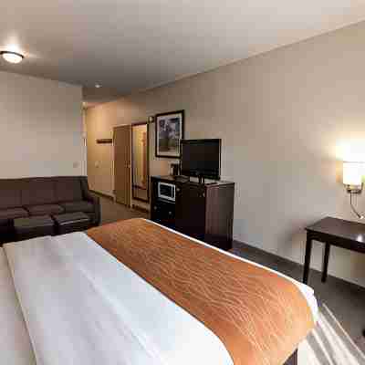 Comfort Inn & Suites Paw Paw Rooms