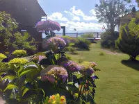 La Casa Florencia Hotels in 