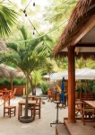 Ostrov Palm Villa Hôtels à : Ukulhas