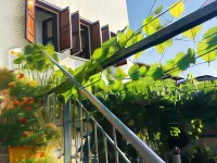 Denis Guest House Hotel a Gjirokaster