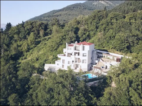 Forest Suites Boutique Hotel