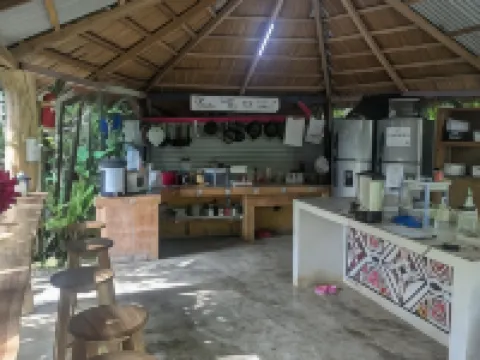 Tasty Dayz Hostel Hotels in Cocles