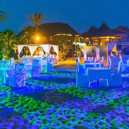 Royal Horizon Baobab