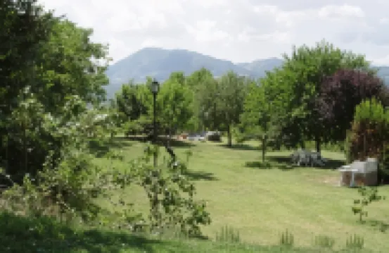 아그리투리스모 레 비녜 디 파세