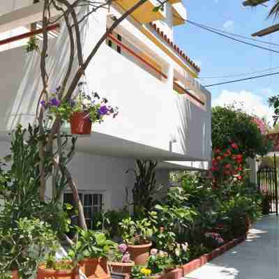 Stergia Apartments Hotel Exterior