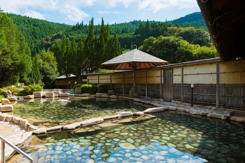 Watarase Onsen Hotel Sasayuri - baignoire