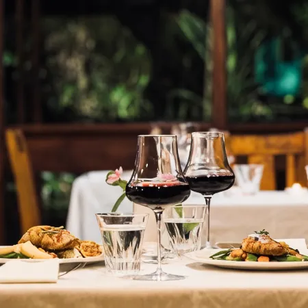 Daintree Wilderness Lodge