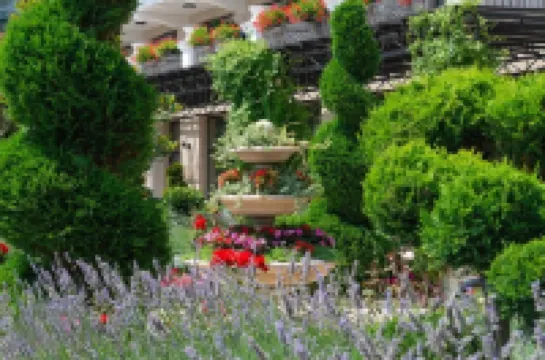 Casa di Fiore Spa and Medical Hotel, Mineral Pools & Private Beach Hotels in 