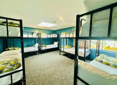 Rotorua Downtown Backpackers - Hostels