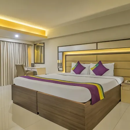 Treebo Premium Metropolis