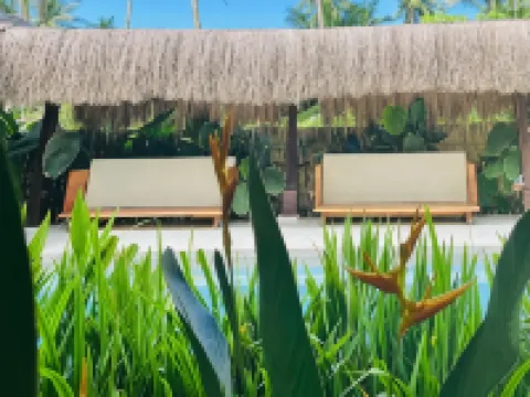 Terra Siargao