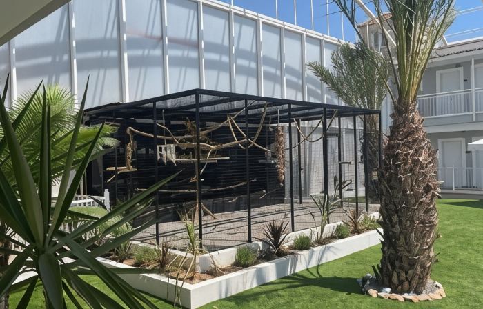 Hotel Algorfa