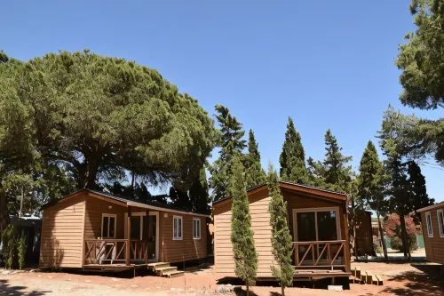 Taiga Conil Hotels in Conil De La Frontera