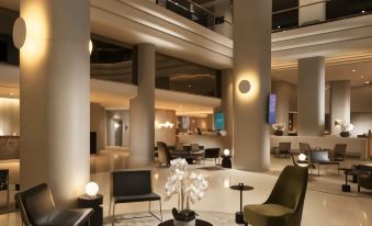 Hilton Darwin