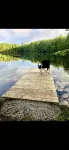 Stand alone waterfront rustic cabin!