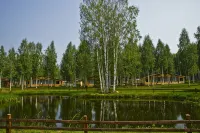 Semejnyij Hotel Lesnoj Bereg Hotels in Breytovsky District
