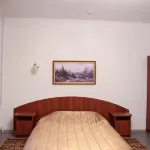 Zarechnaya Hotels in 