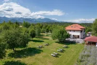 Pensiunea Negoiu - Gym