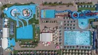 Hotel Mimosa - Beach