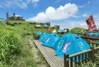 武功山觀音宕帳篷特色民宿 - 寵物友善