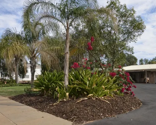 Charleville Waltzing Matilda Motor Inn Hotels in Charleville