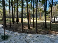 River House in Old Town FL with AC and Wi-Fi, Secluded But Not Remote, Enjoy! Hôtels à : Comte de Dixie