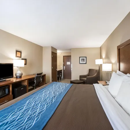 Comfort Inn & Suites St Louis-Hazelwood