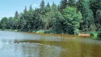 Spacious 1Br Suite, Near Charlottetown, PEI - Апартаменты