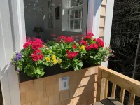 Oceanfront cottage with new Oceanfront Master BR in 2023, complete remodel 2021 - Wifi
