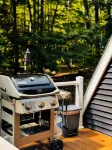 Cozy & Modern A-Frame in the woods w/HOT TUB - Alphydda