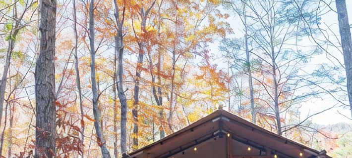 BEARADISE “Glamping Paradise” Hotels in Rockbridge County