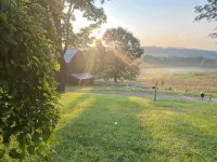 Scenic 4-bedroom Farm House, Tree Farm & Arboretum with trails in Sugar Grove - 3-Star