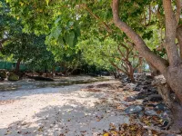 Designer Luxury 3 Beds with Pool, Patio & Sundowners Hotels in 
