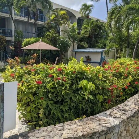 SEA TURTLE COVE ST CROIX -NO PASSPORT