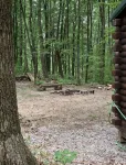 1 Bedroom,1 Bath, Porch, Fire Pit, Grill, Beautiful Wooded Location, Wi-Fi also!