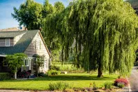 Moonrise Suite in a Vineyard + Winery!