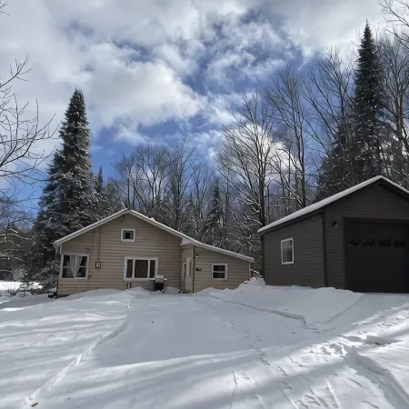 Adirondack Cottage - Four Season, Pet-Friendly, Cozy & Beautiful. Read  reviews!