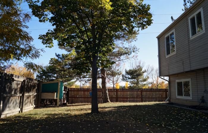 Cozy, pet friendly, home. Great location for walks, food, Boulder, Lyons & RMNP