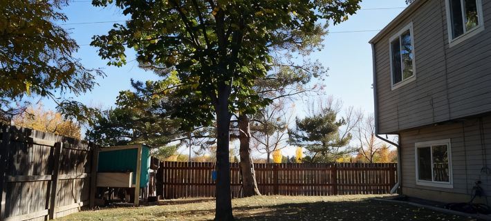 Cozy, pet friendly, home. Great location for walks, food, Boulder, Lyons & RMNP Hotels in Longmont
