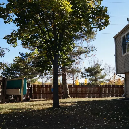 Cozy, pet friendly, home. Great location for walks, food, Boulder, Lyons & RMNP