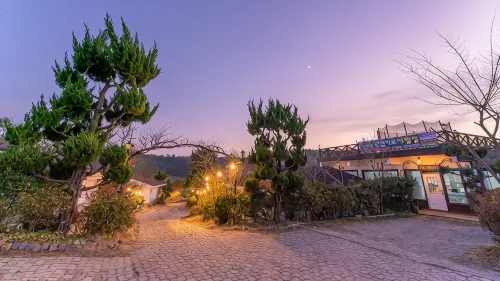 Taean (Anmyeondo) Dokchae Trudi Pension - piscina