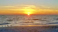 Gulf & Sunset Views!!!  1BR Apt. D is a Centrally Located, walk to all location - Beach