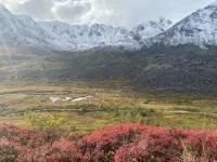 Rustic and cozy cabin with all new amenities near beautiful Hatcher’s Pass Hotels in Fishhook